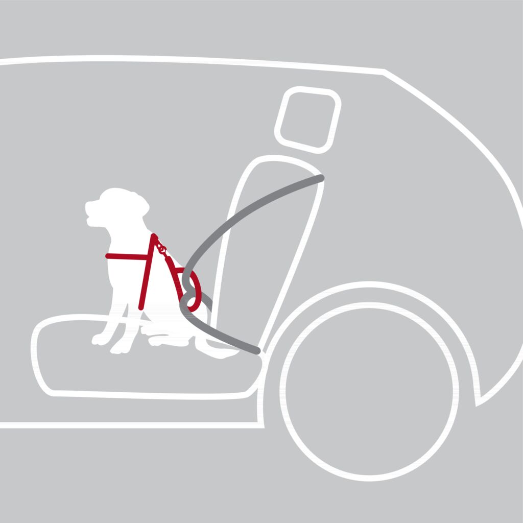 Auto-Geschirr Comfort-Pfoten Feinstes