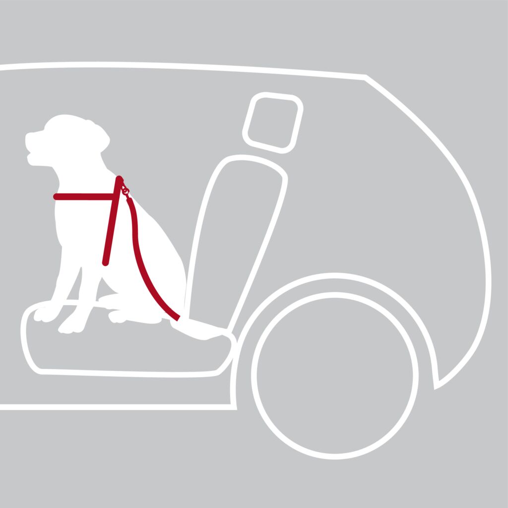 Auto-Geschirr-Pfoten Feinstes
