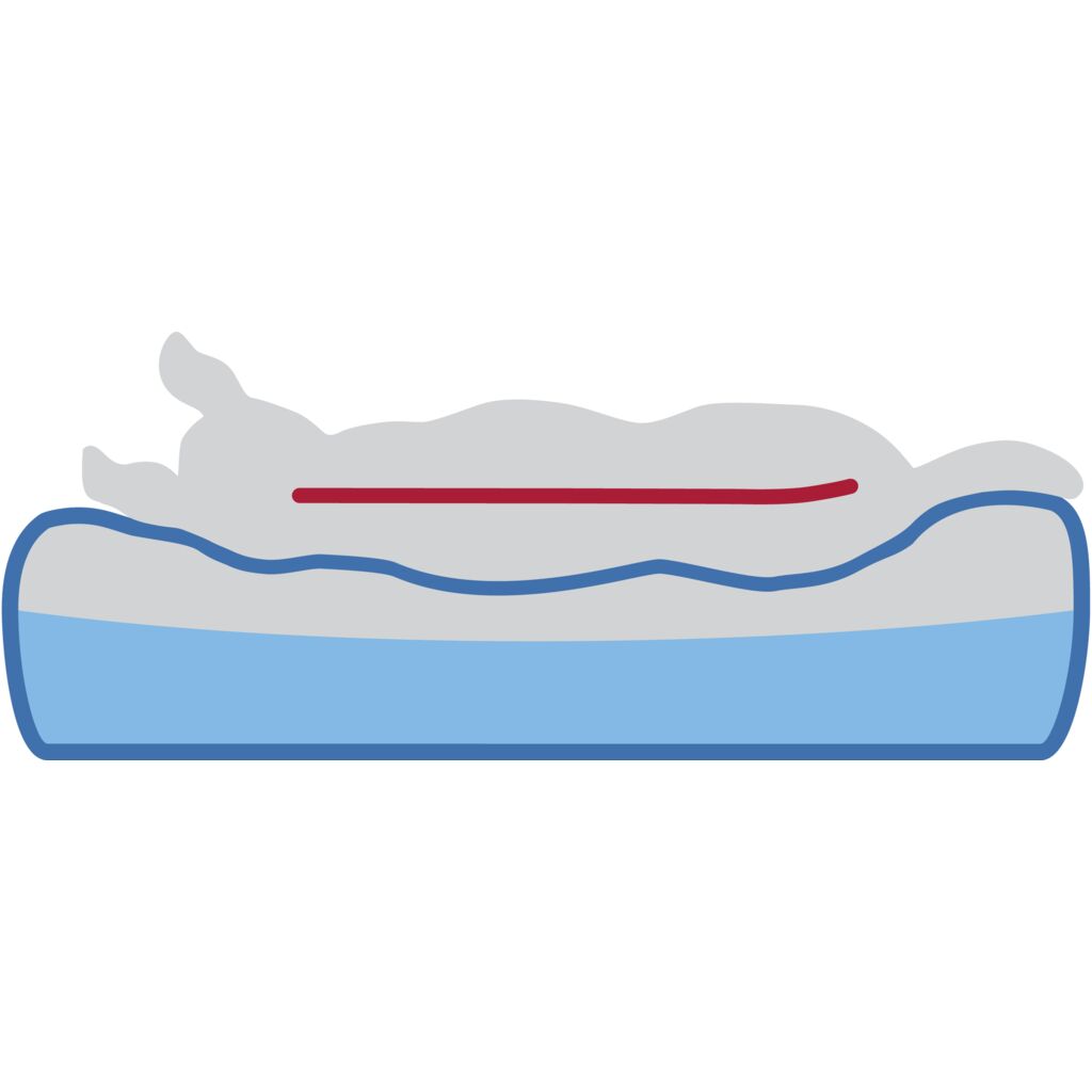 Vital Bett Remo-Pfoten Feinstes