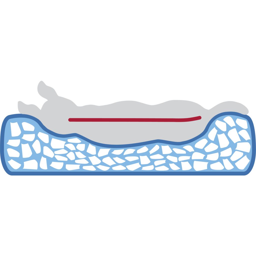 Vital Bett Pulito-Pfoten Feinstes
