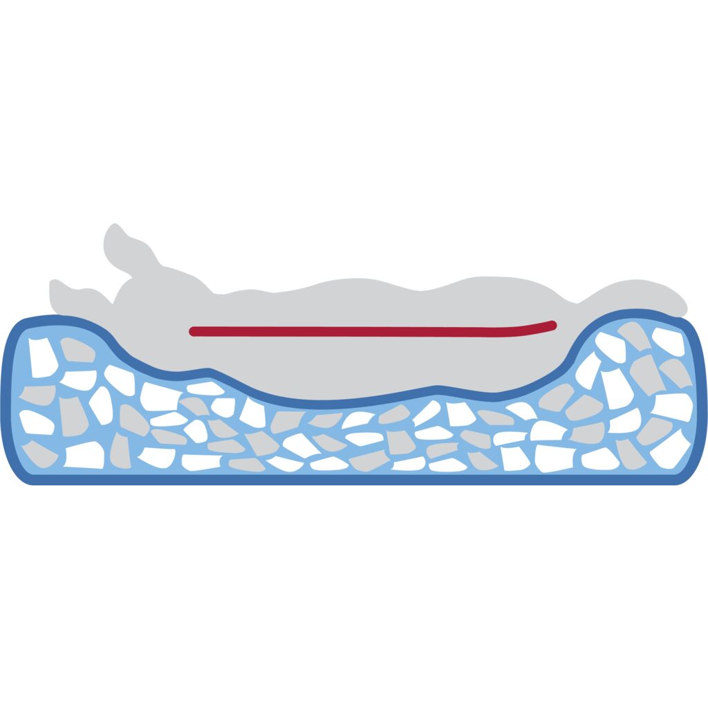 Vital Bett Noah-Pfoten Feinstes