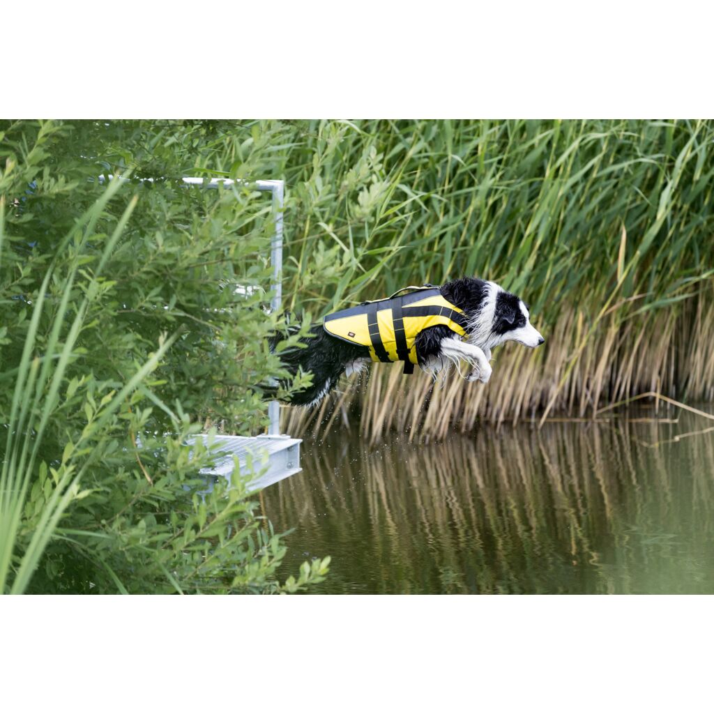 Schwimmweste für Hunde-Pfoten Feinstes