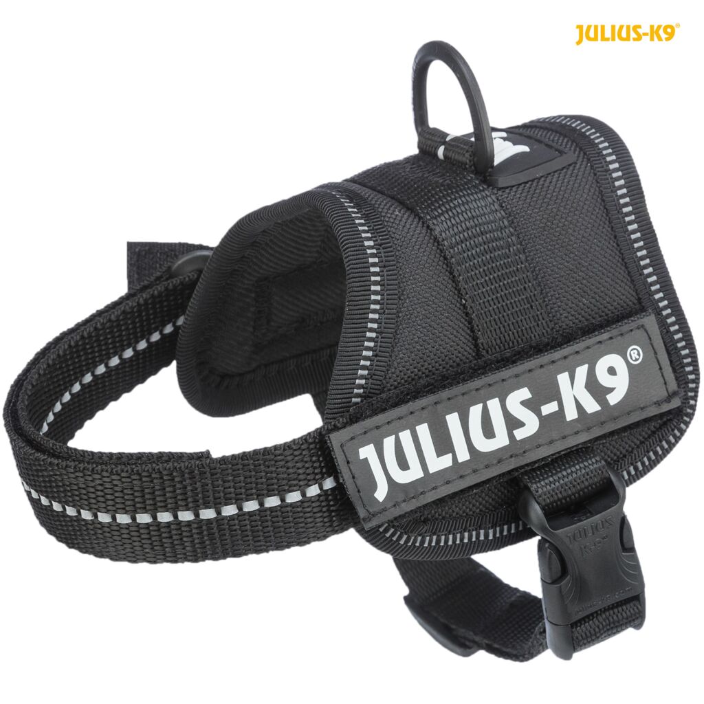 Julius-K9® Powergeschirr® Baby 1–Mini-Pfoten Feinstes