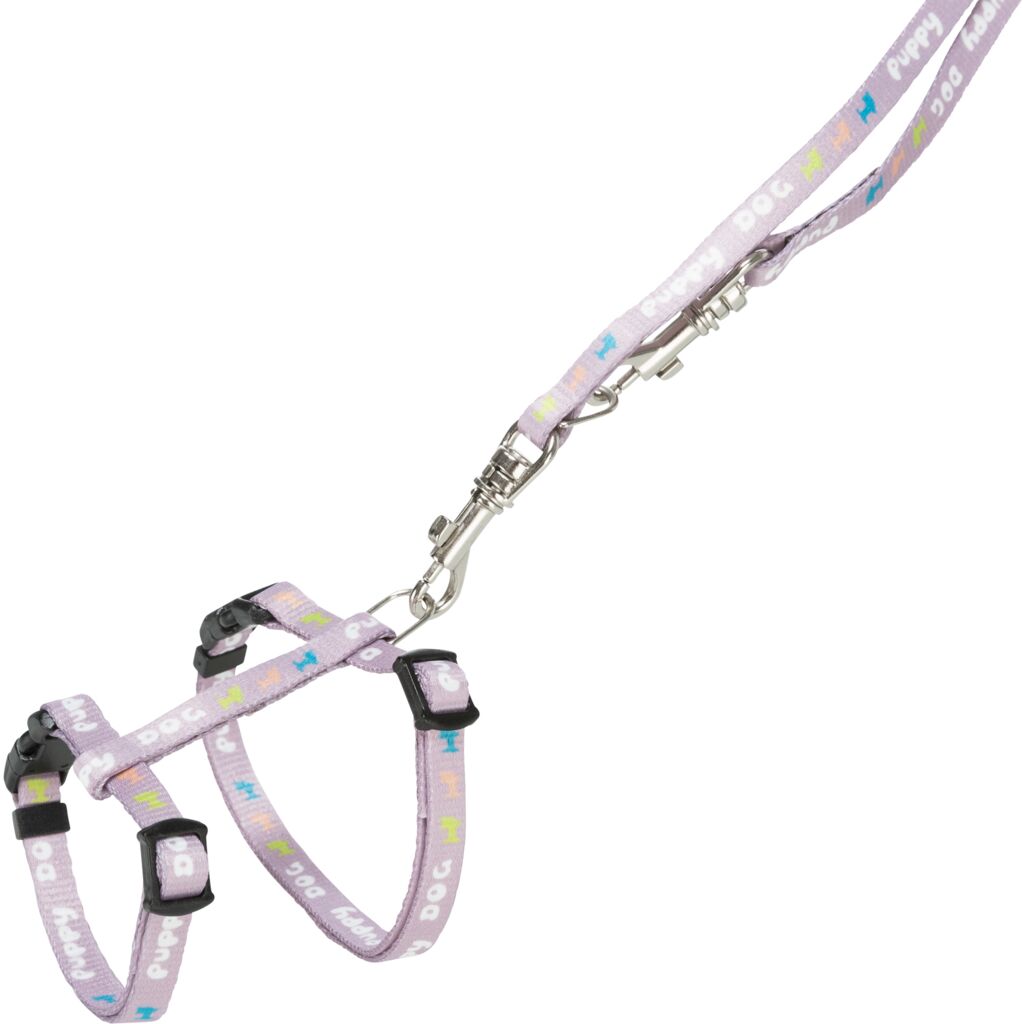 Junior Welpen-H-Geschirr mit Leine-Pfoten Feinstes