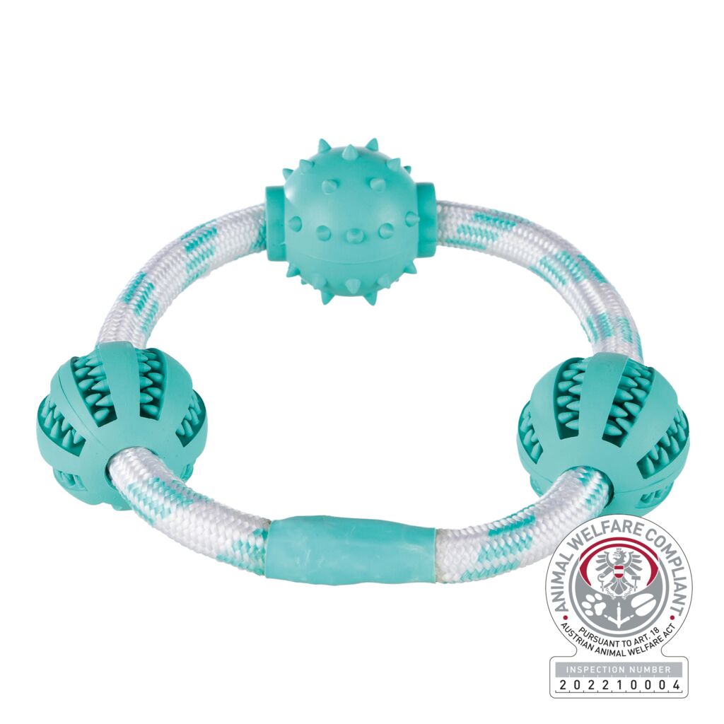 Denta Fun Seilring mit Bällen-Pfoten Feinstes