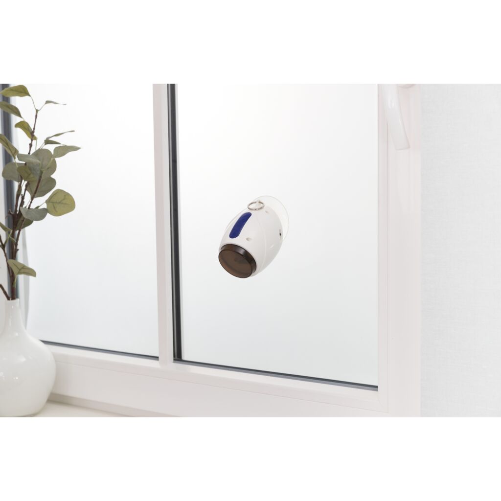 Laser Pointer Moving Light-Pfoten Feinstes