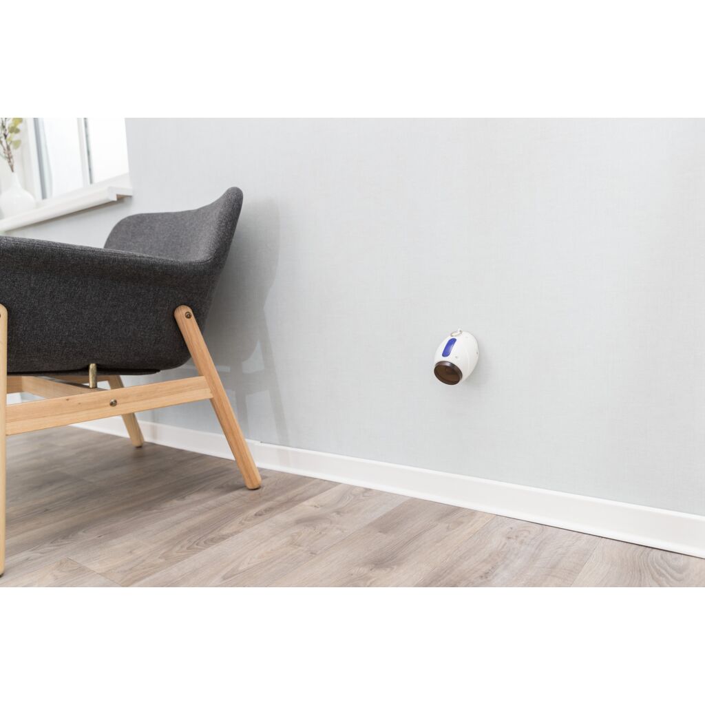 Laser Pointer Moving Light-Pfoten Feinstes