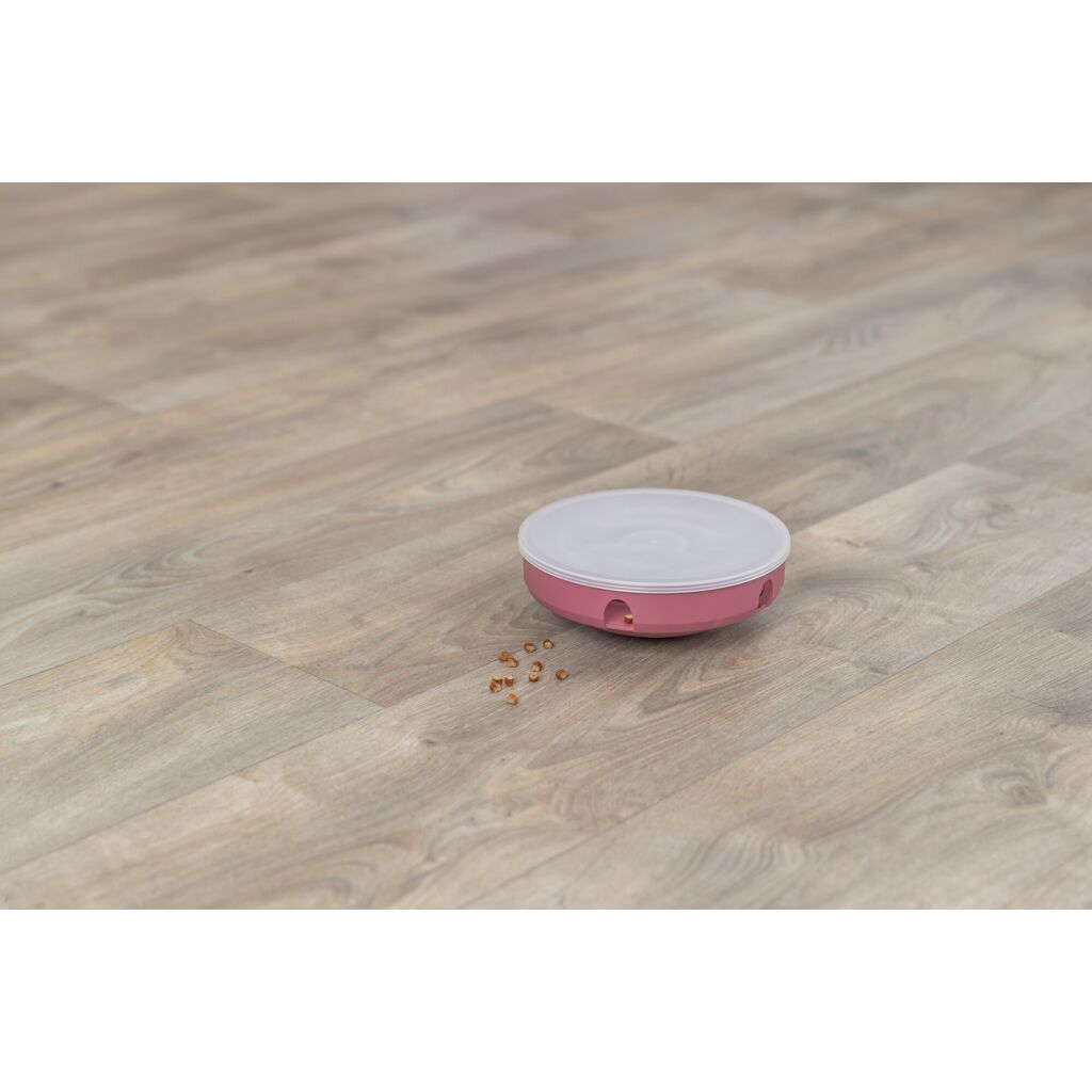 Rocking Maze-Pfoten Feinstes