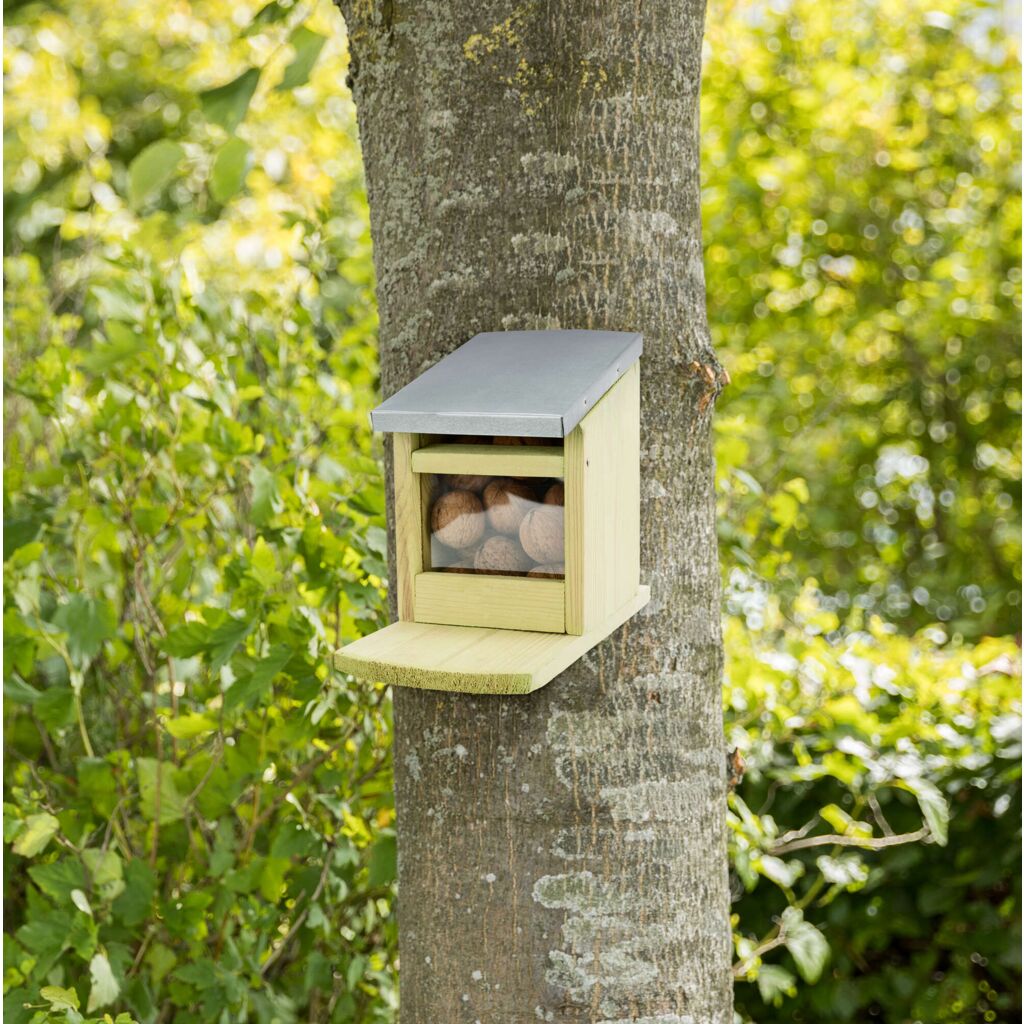 Futterstation für Eichhörnchen-Pfoten Feinstes