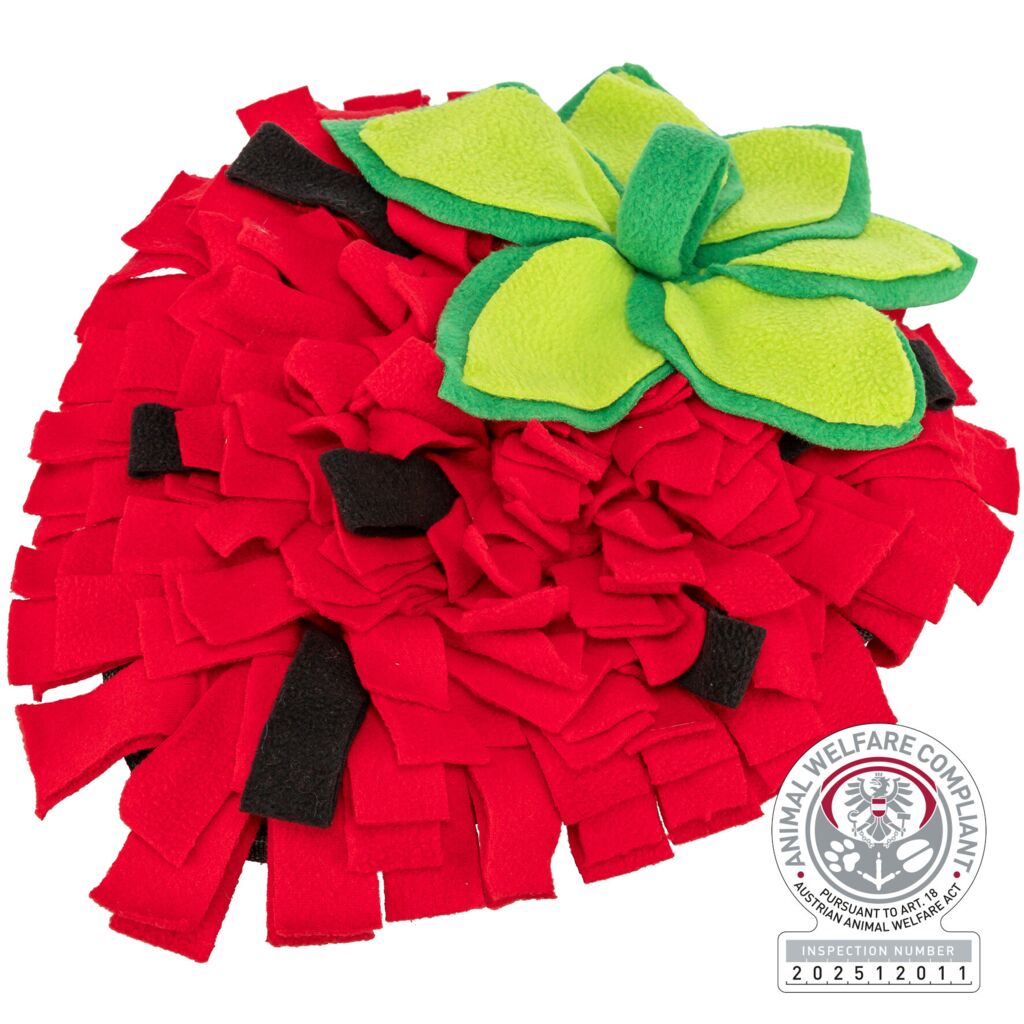 Schnüffelteppich-Pfoten Feinstes