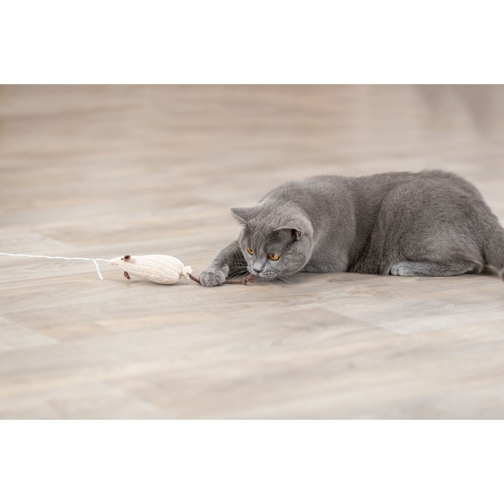 Spielangel Maus-Pfoten Feinstes