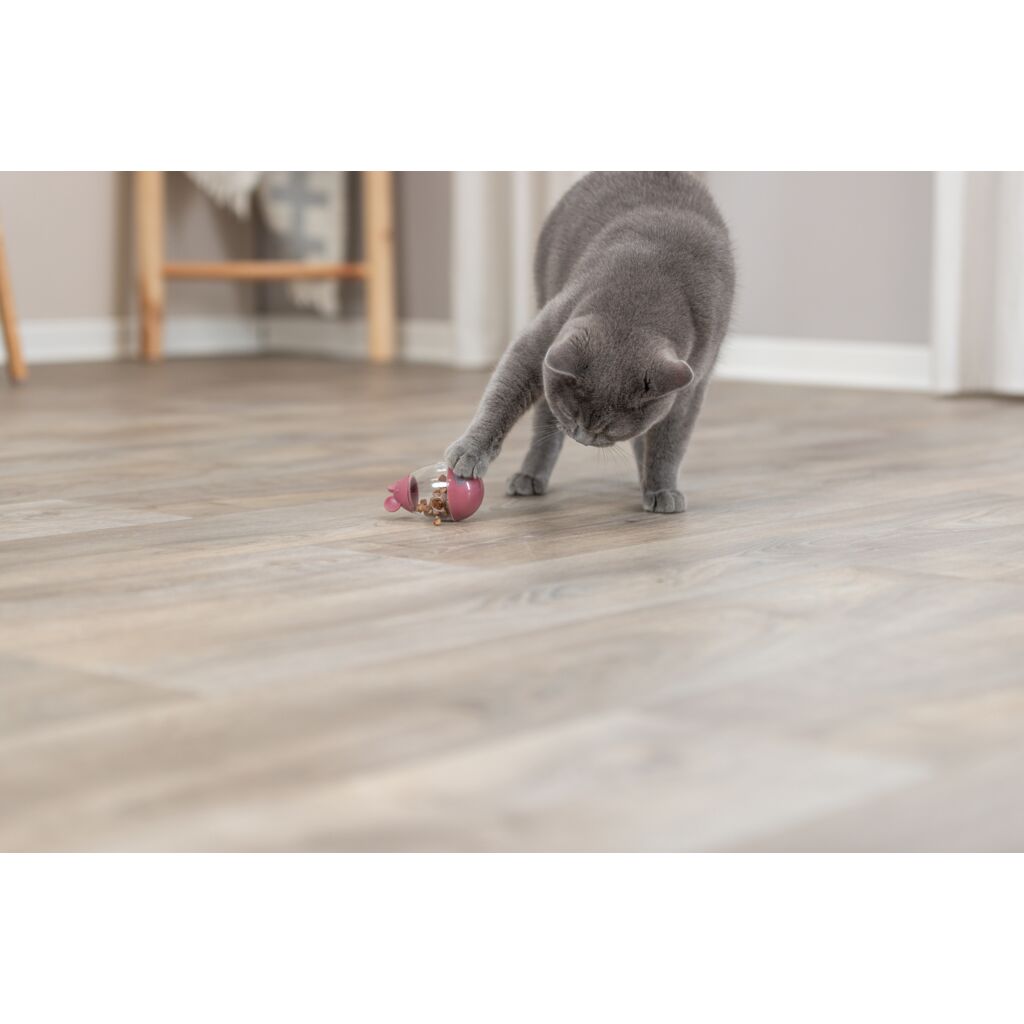 Snack Maus-Pfoten Feinstes