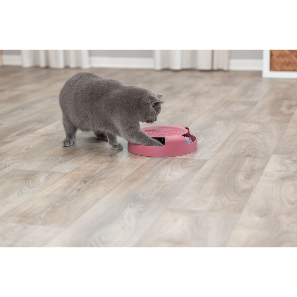 Catch the Mouse-Pfoten Feinstes