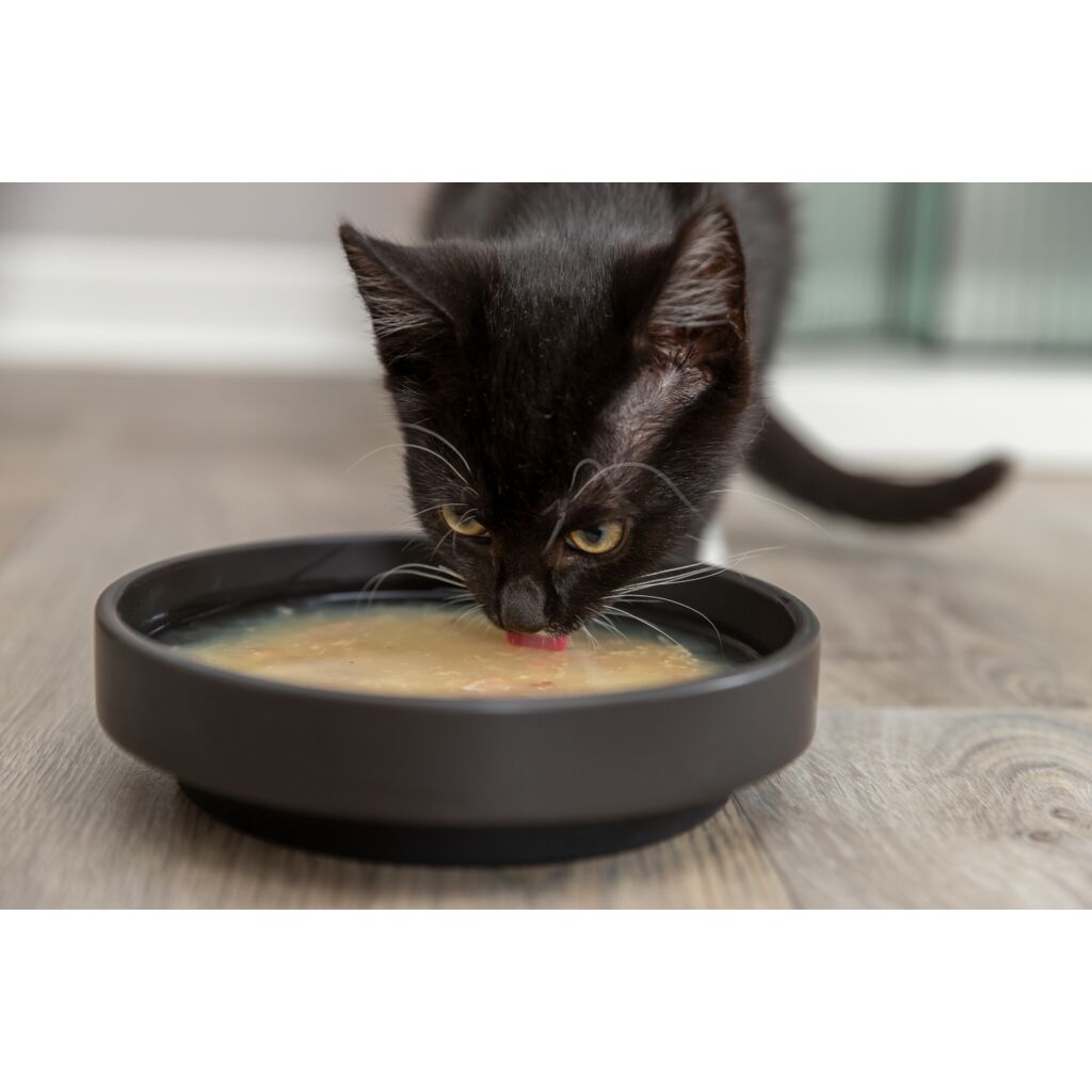 Salmon Soup-Pfoten Feinstes