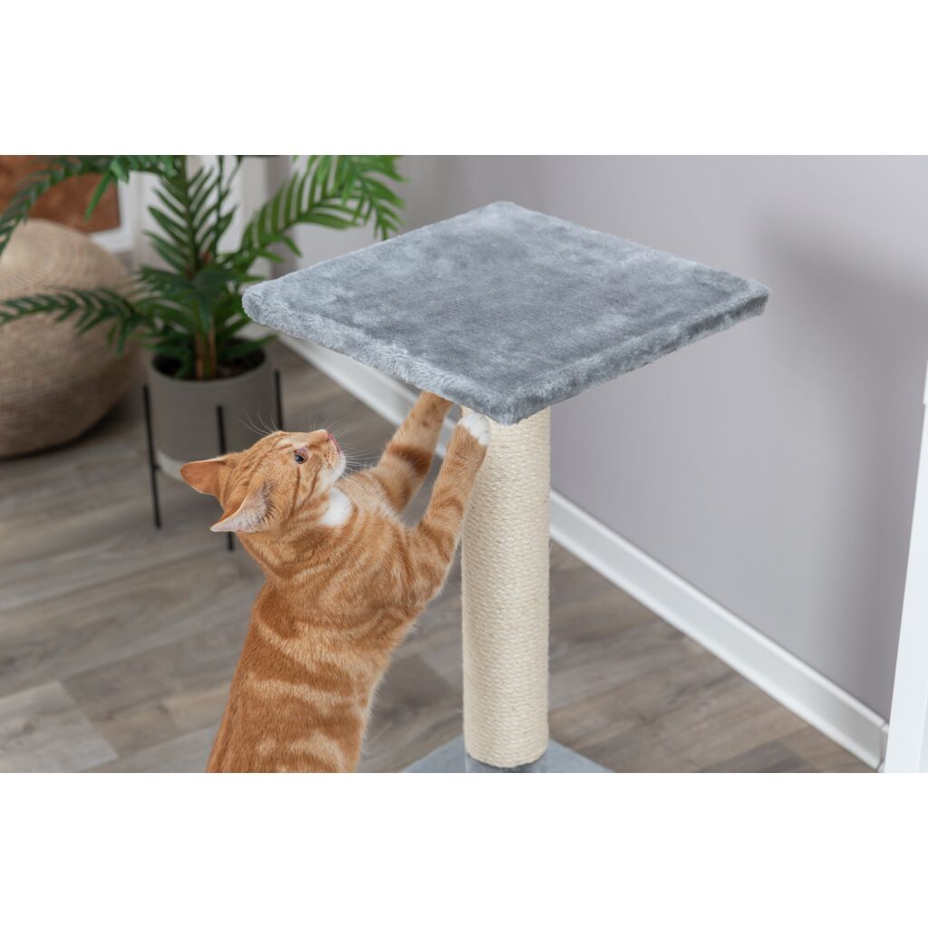 Kratzstamm Baena-Pfoten Feinstes