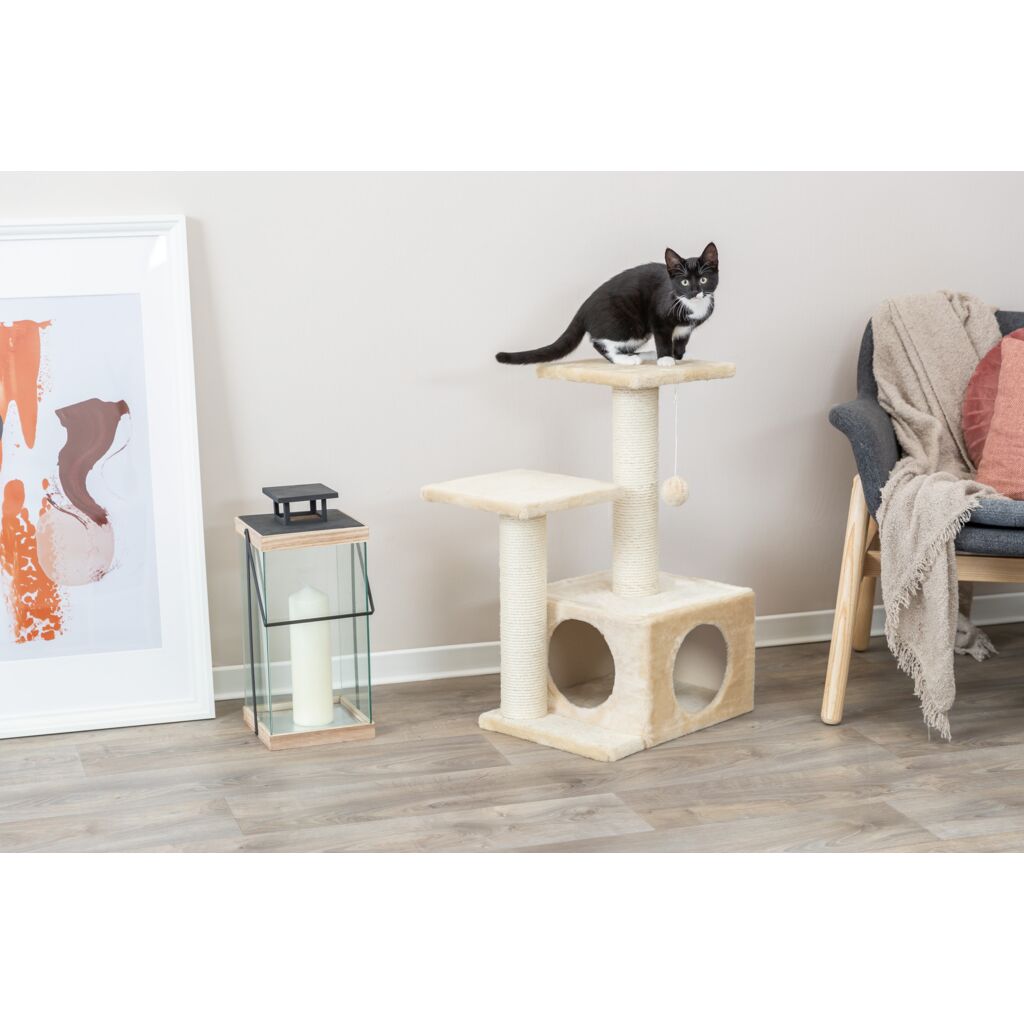 Kratzbaum Valencia-Pfoten Feinstes