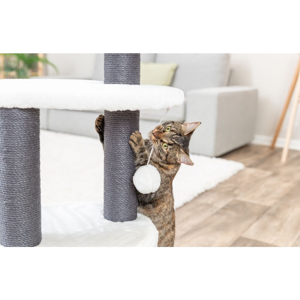 Kratzbaum Marco-Pfoten Feinstes