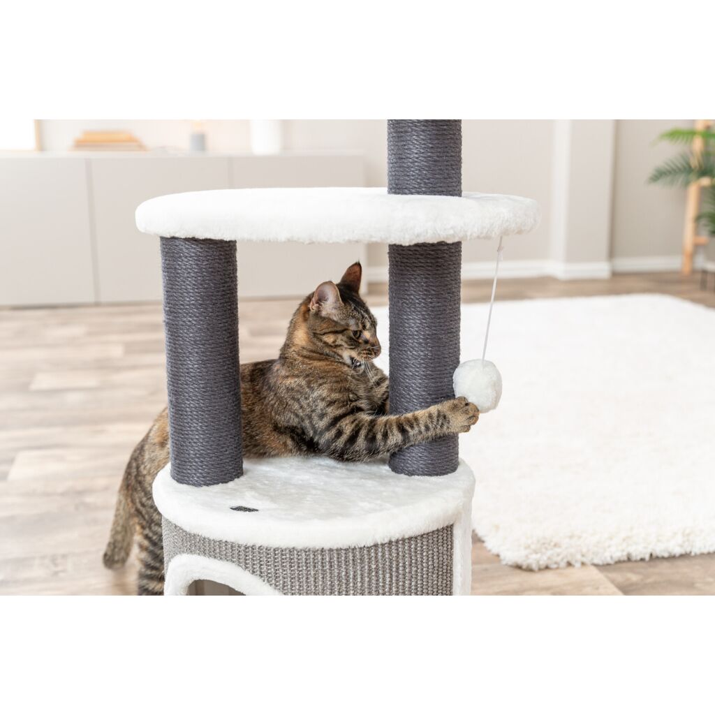 Kratzbaum Marco-Pfoten Feinstes