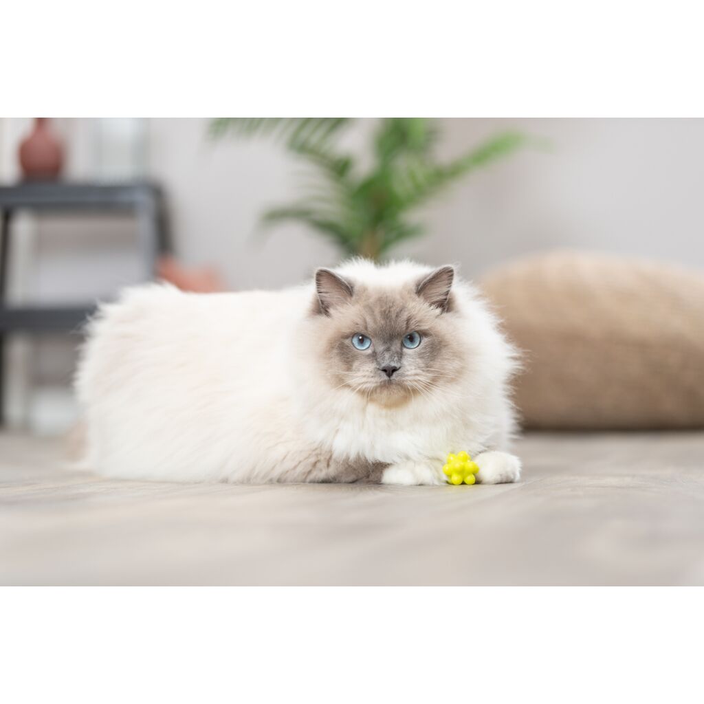 Set Noppenbälle-Pfoten Feinstes