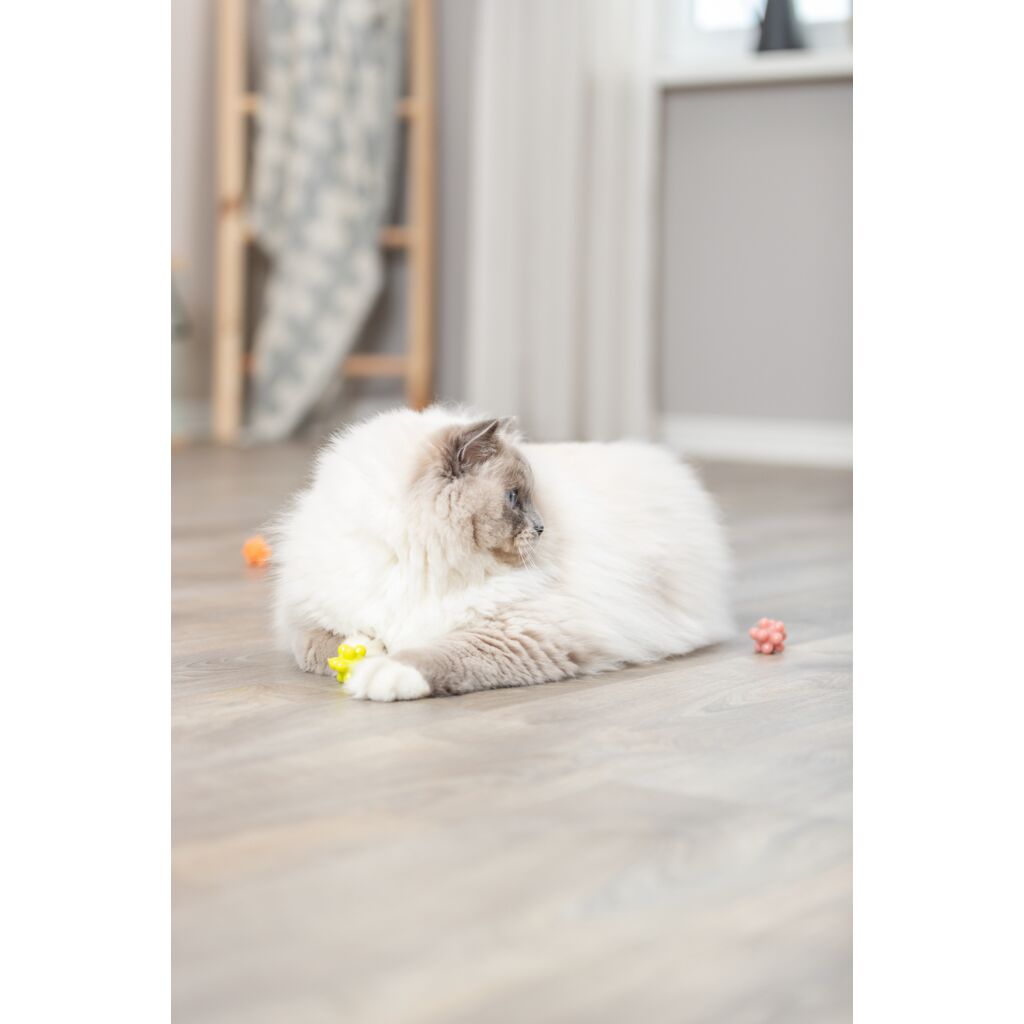 Set Noppenbälle-Pfoten Feinstes