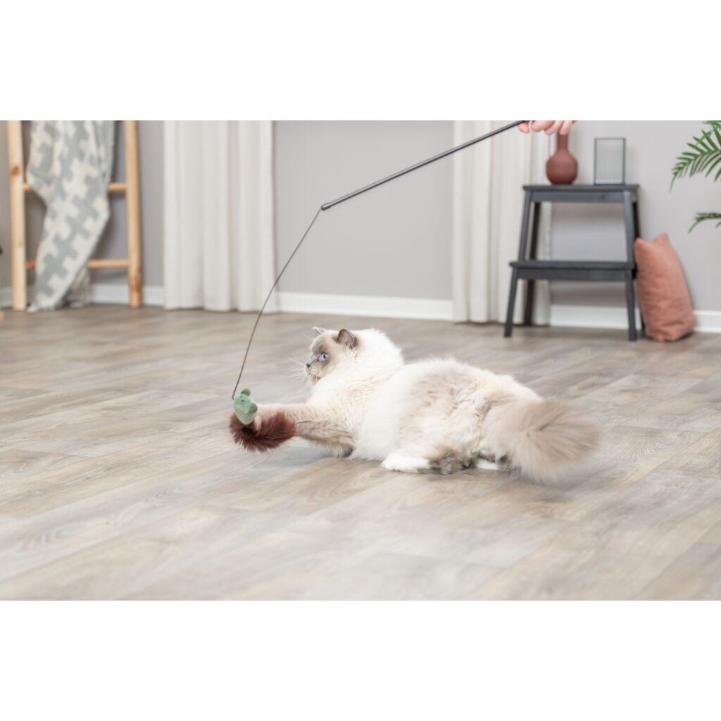 Spielangel mit Maus-Pfoten Feinstes