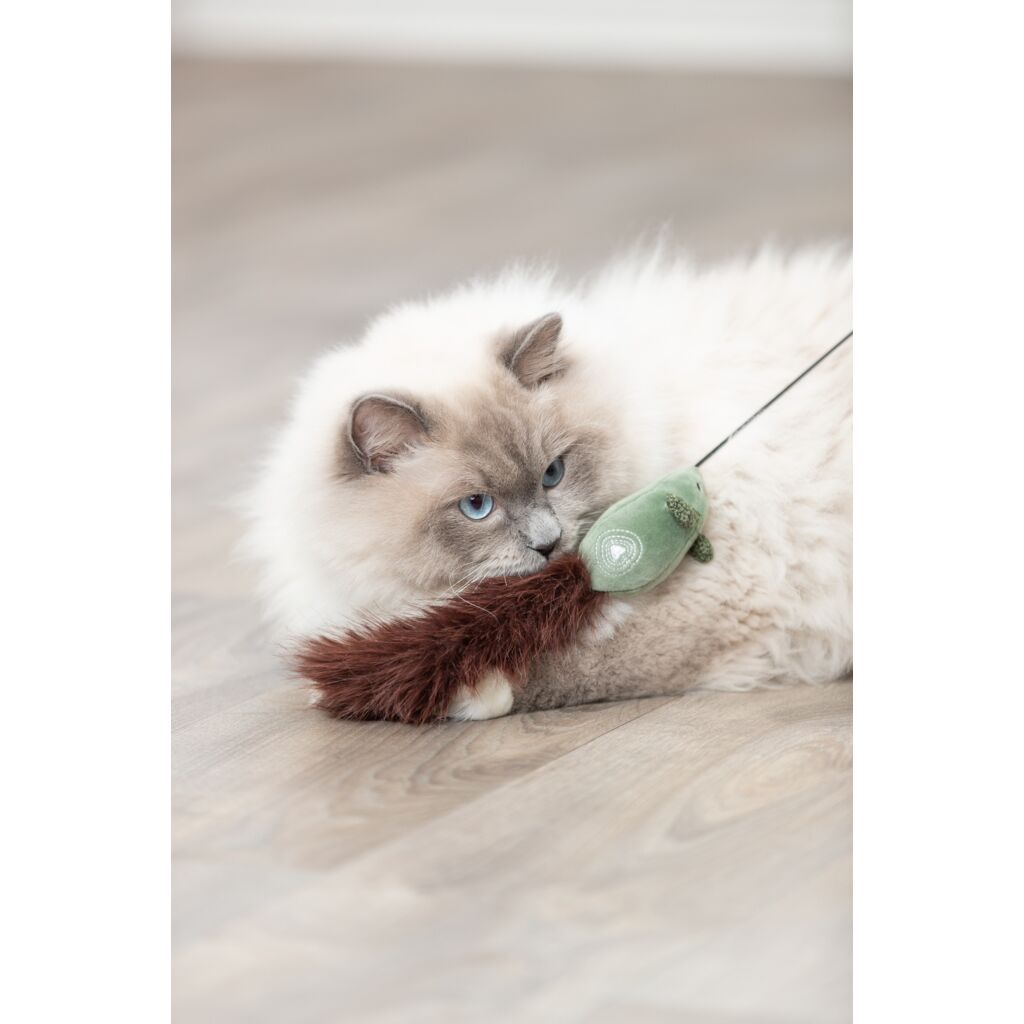 Spielangel mit Maus-Pfoten Feinstes