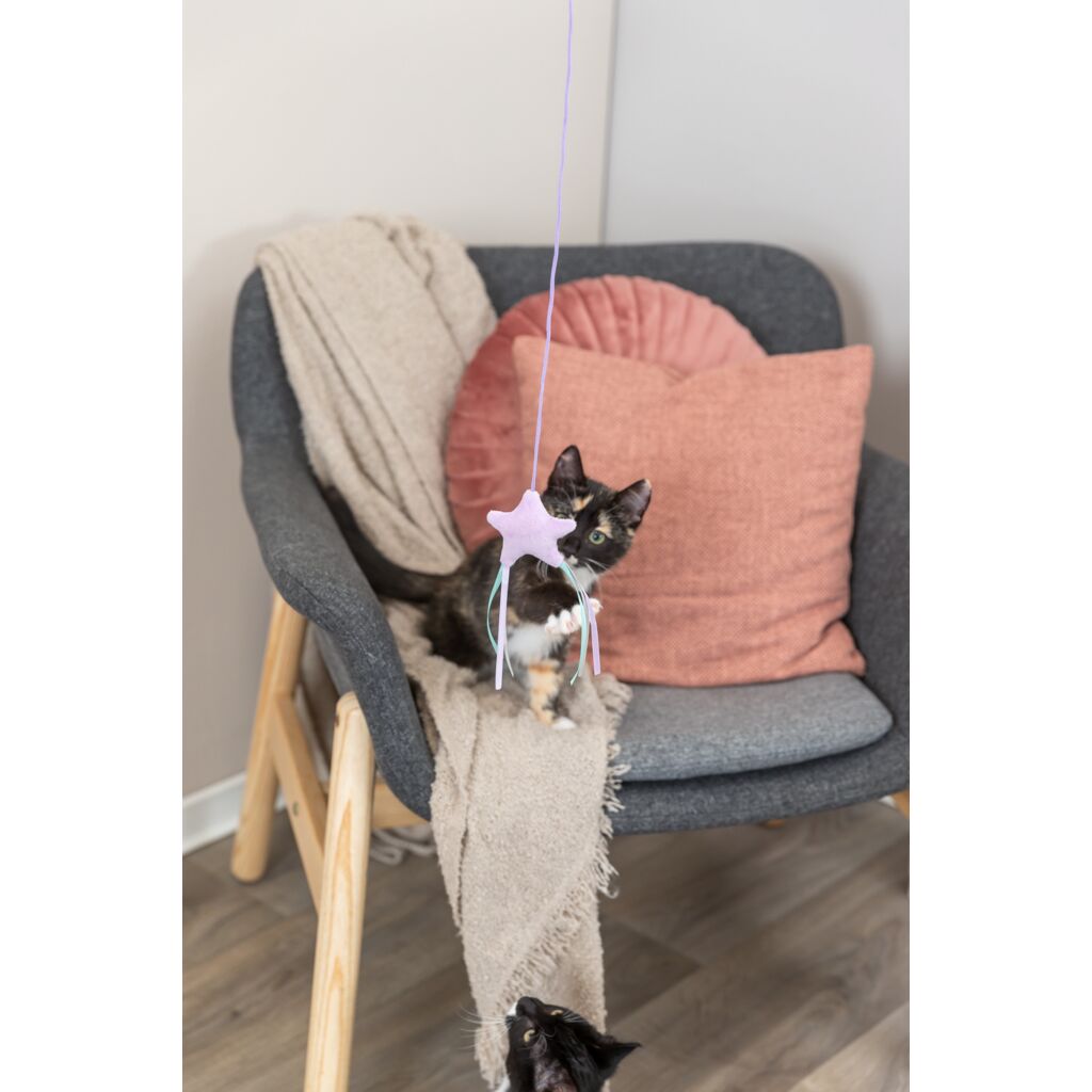 Junior Spielangel mit Stern-Pfoten Feinstes