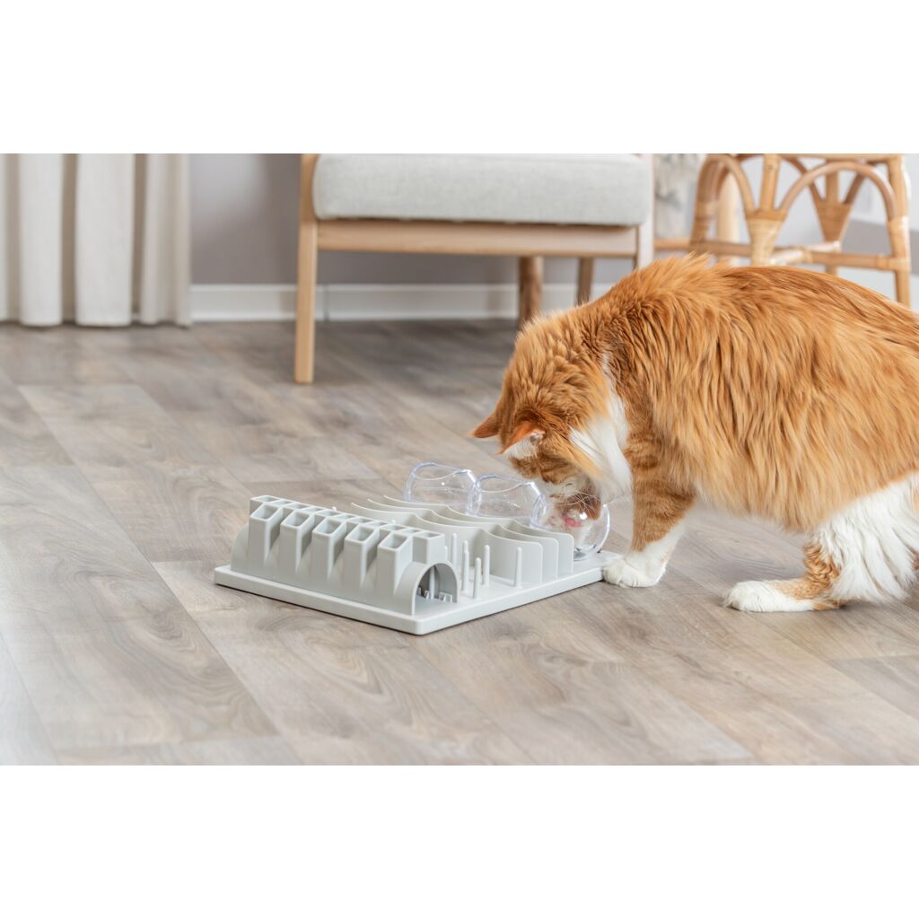 Fun Board XXL-Pfoten Feinstes