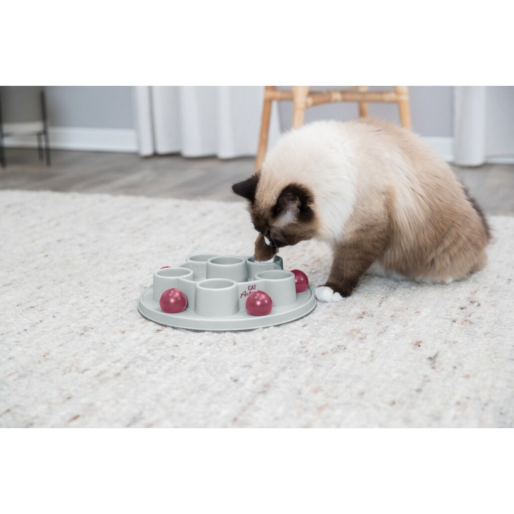 Pentagon Katzenspiel-Pfoten Feinstes