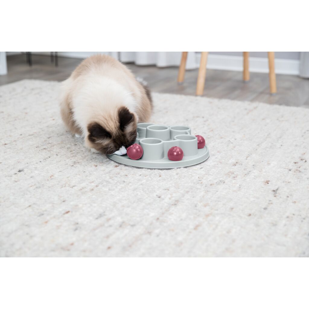 Pentagon Katzenspiel-Pfoten Feinstes