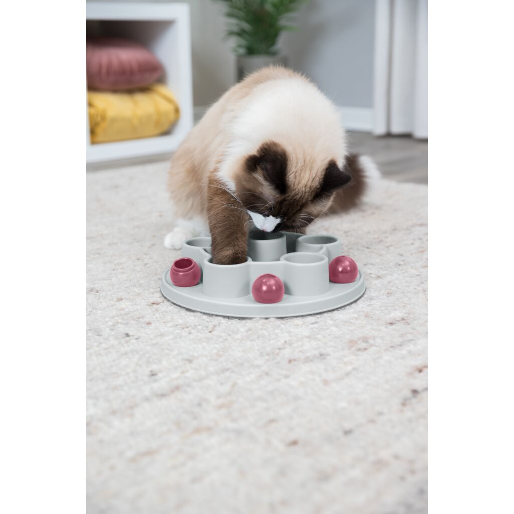 Pentagon Katzenspiel-Pfoten Feinstes