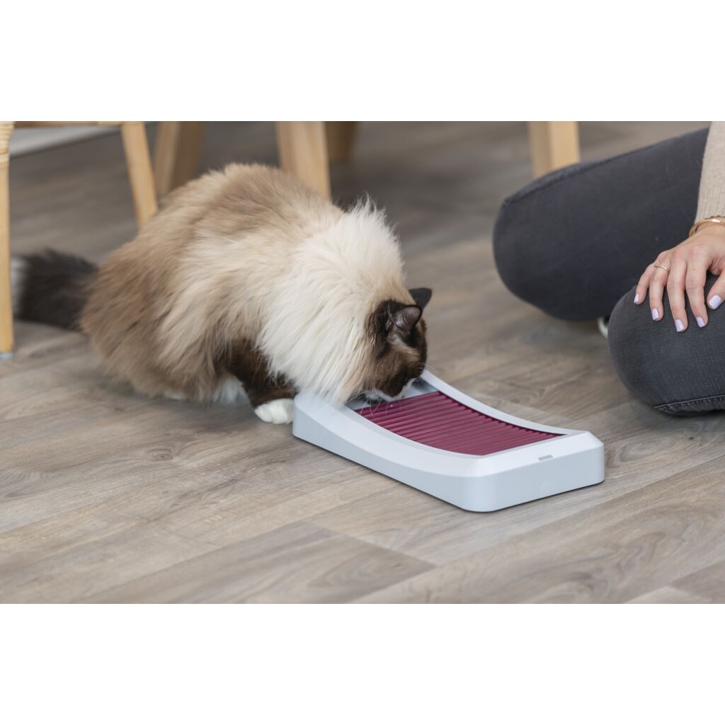 Rod Board-Pfoten Feinstes