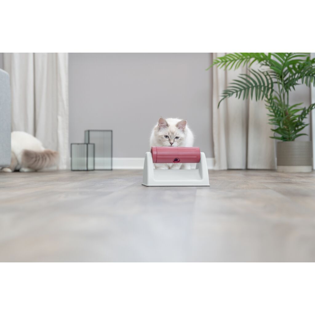 Snack Roll-Pfoten Feinstes