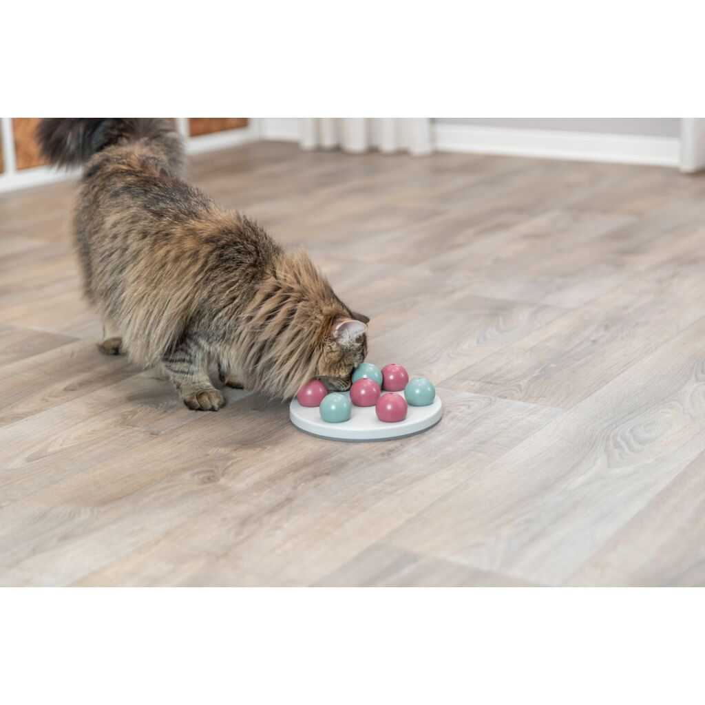 Solitär Strategiespiel-Pfoten Feinstes