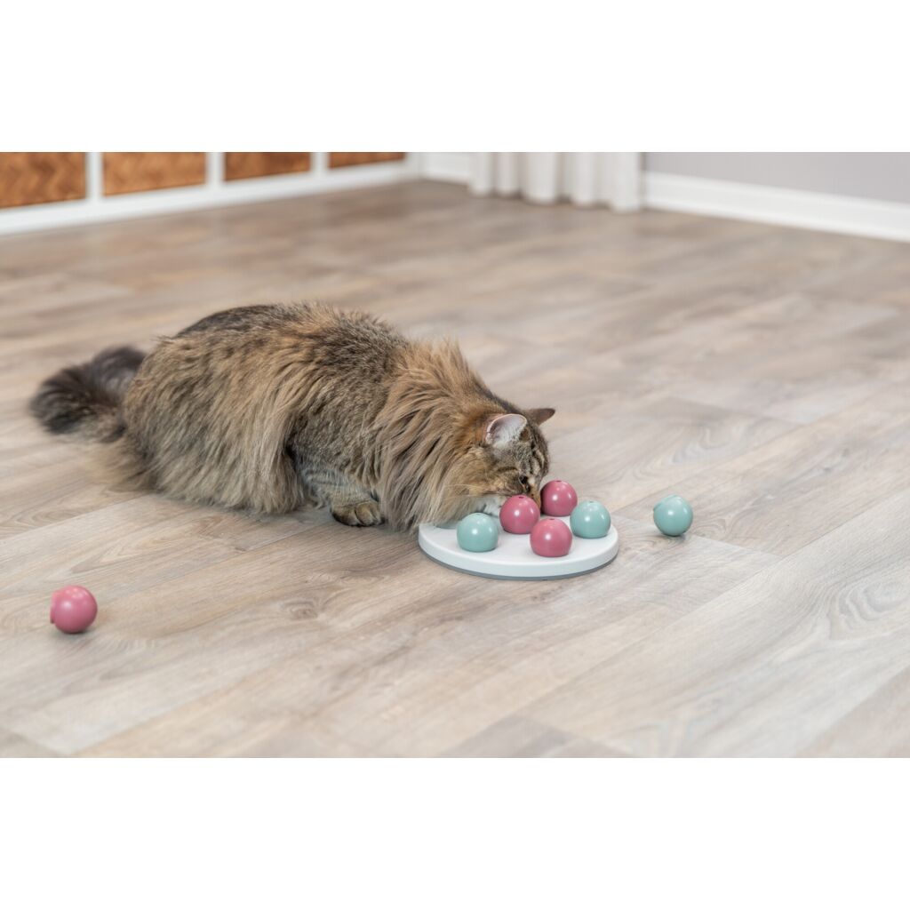 Solitär Strategiespiel-Pfoten Feinstes