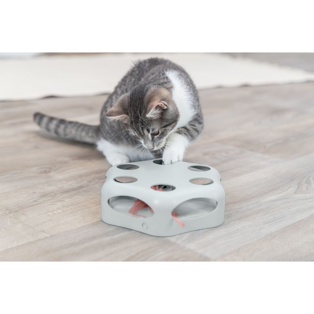 Turning Feather-Pfoten Feinstes