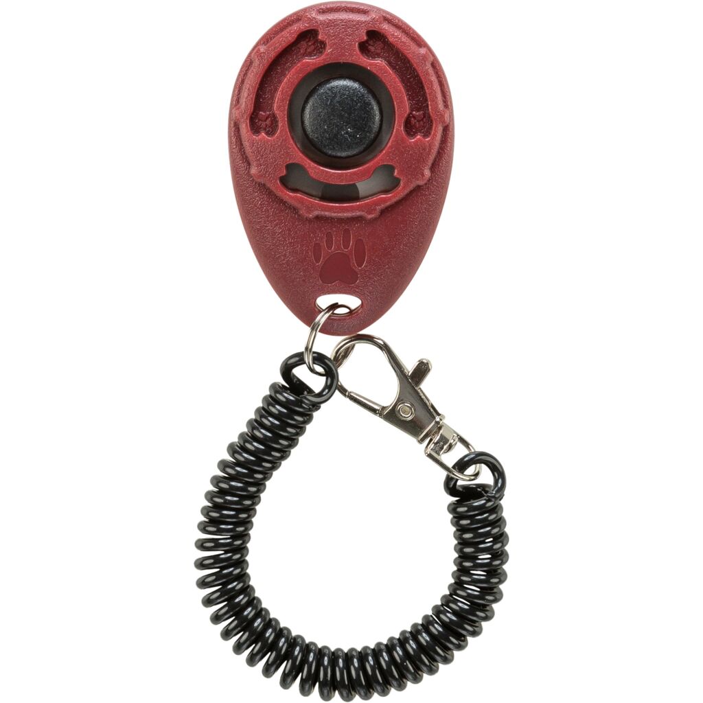 Clicker-Pfoten Feinstes
