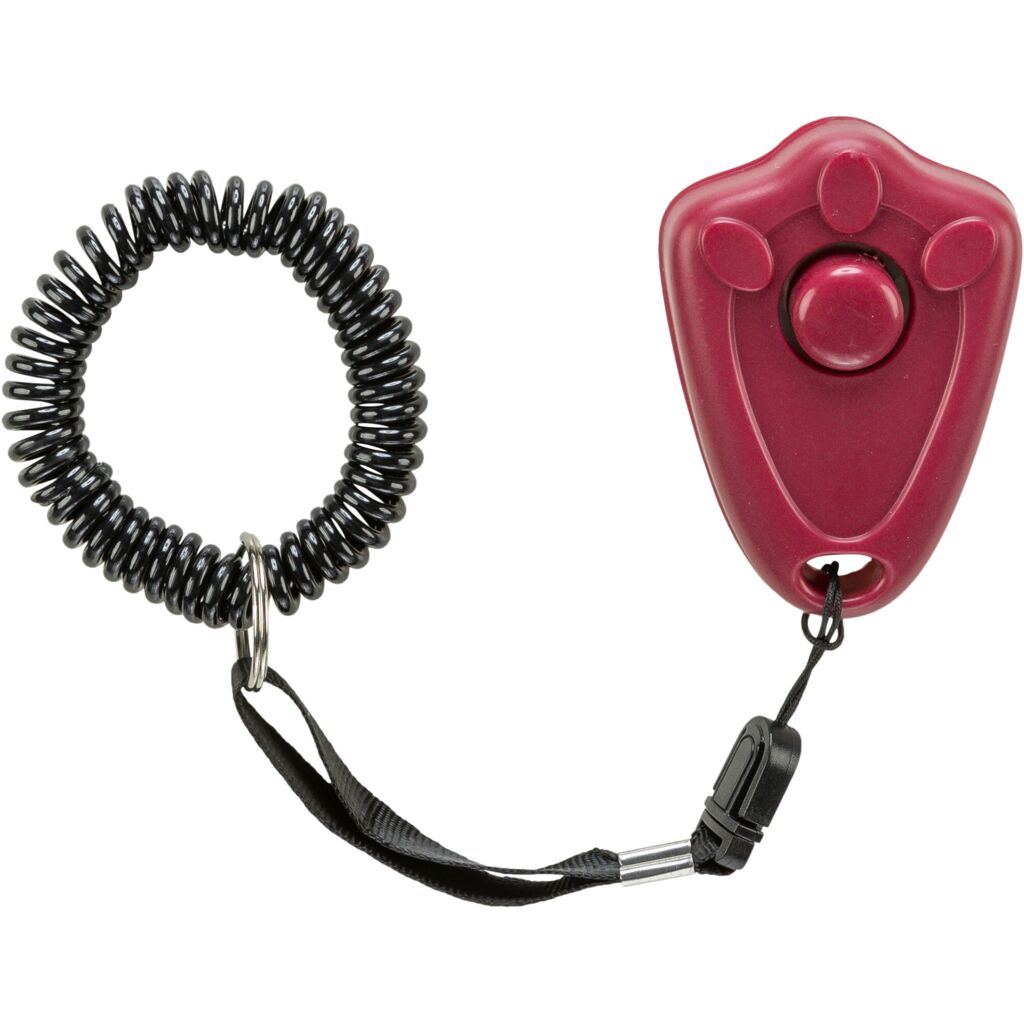 Clicker-Pfoten Feinstes