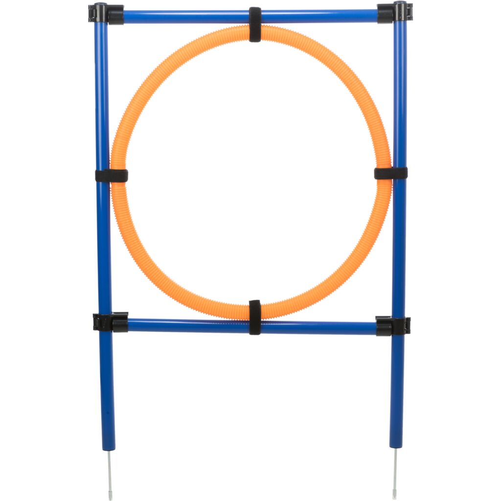 Fun Agility Ring-Pfoten Feinstes