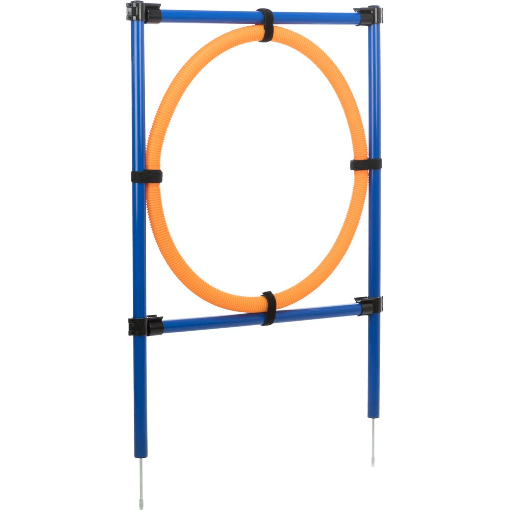 Fun Agility Ring-Pfoten Feinstes