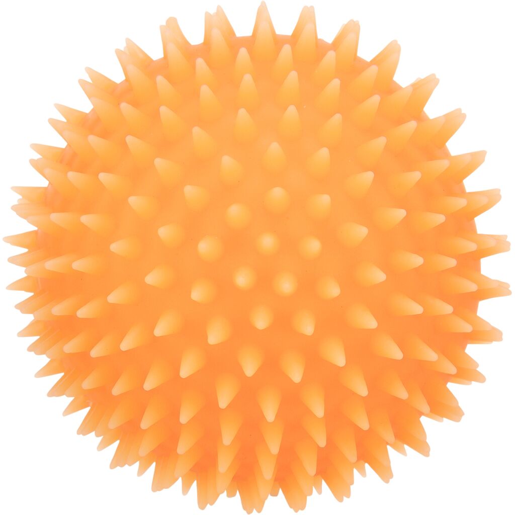 Igelball für Hunde-Pfoten Feinstes