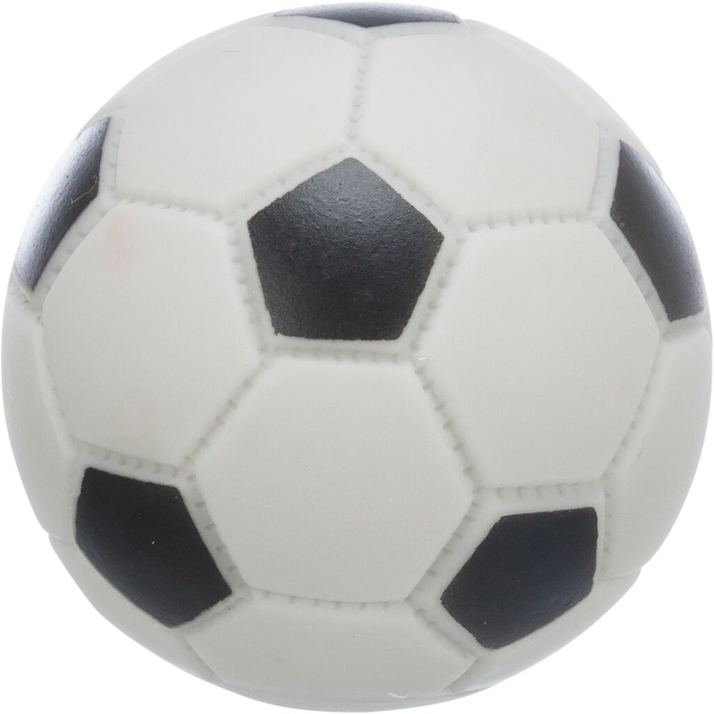Fußball für Hunde-Pfoten Feinstes