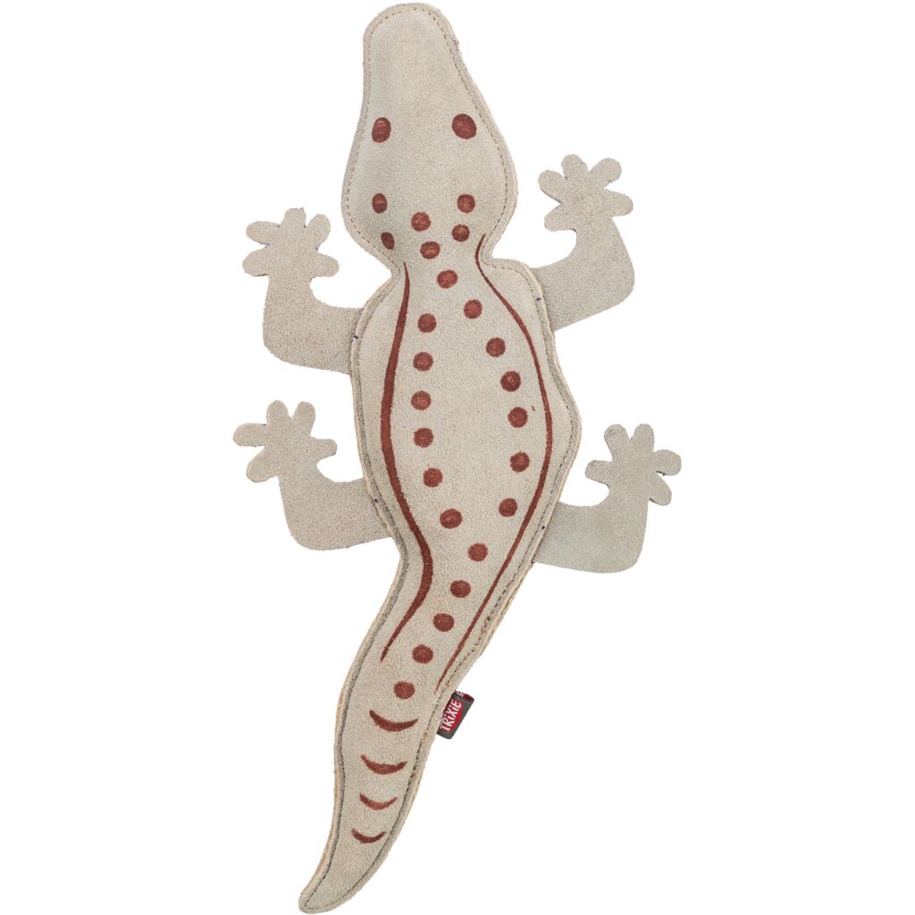 Salamander-Pfoten Feinstes