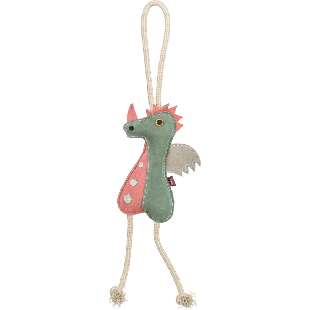 Drache am Tau-Pfoten Feinstes