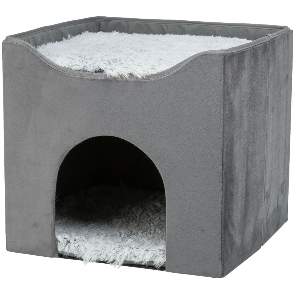 Höhle Harvey-Pfoten Feinstes