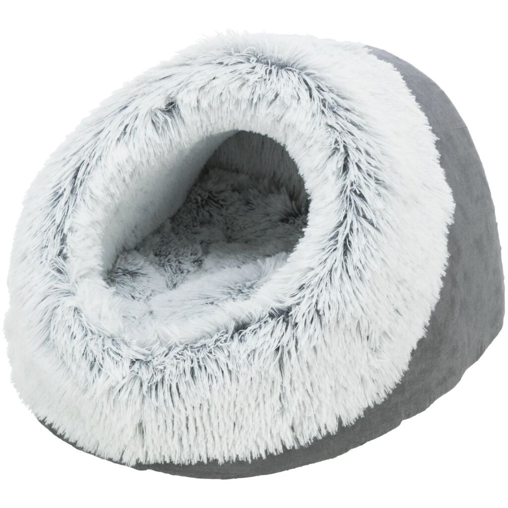 Höhle Harvey-Pfoten Feinstes