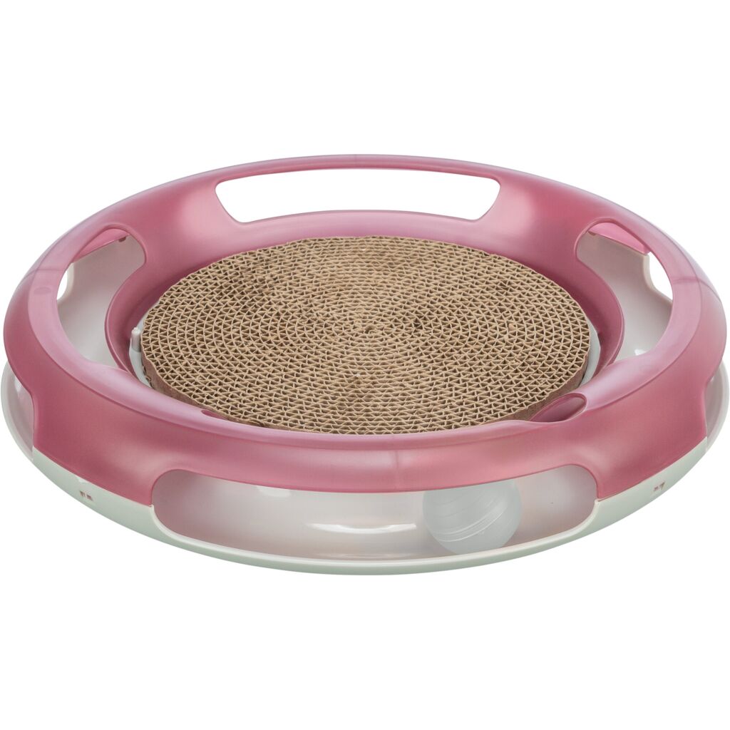 Race & Scratch-Pfoten Feinstes