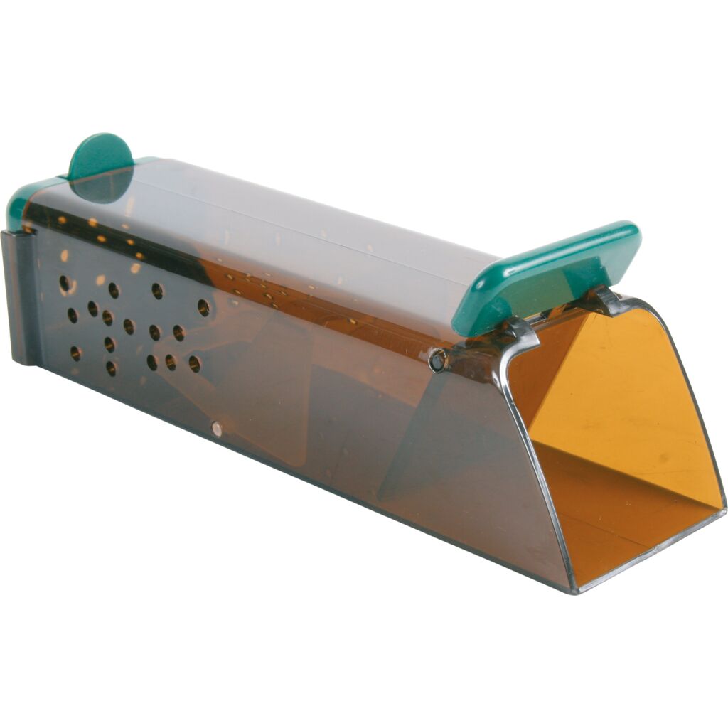 Mausefalle-Pfoten Feinstes