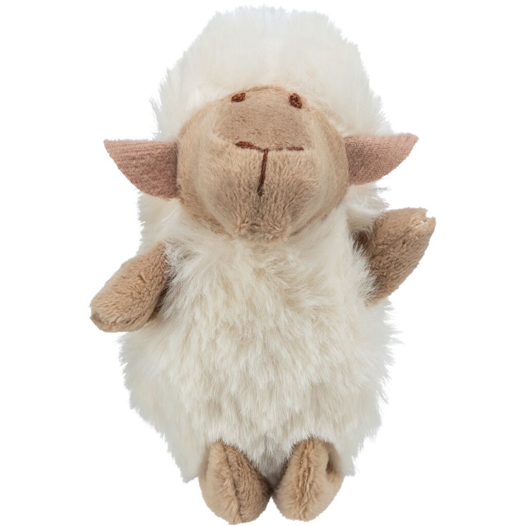 Schaf-Pfoten Feinstes