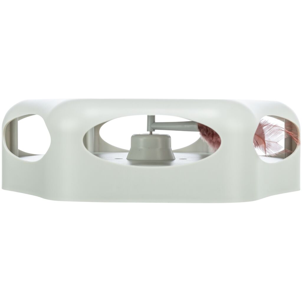 Turning Feather-Pfoten Feinstes